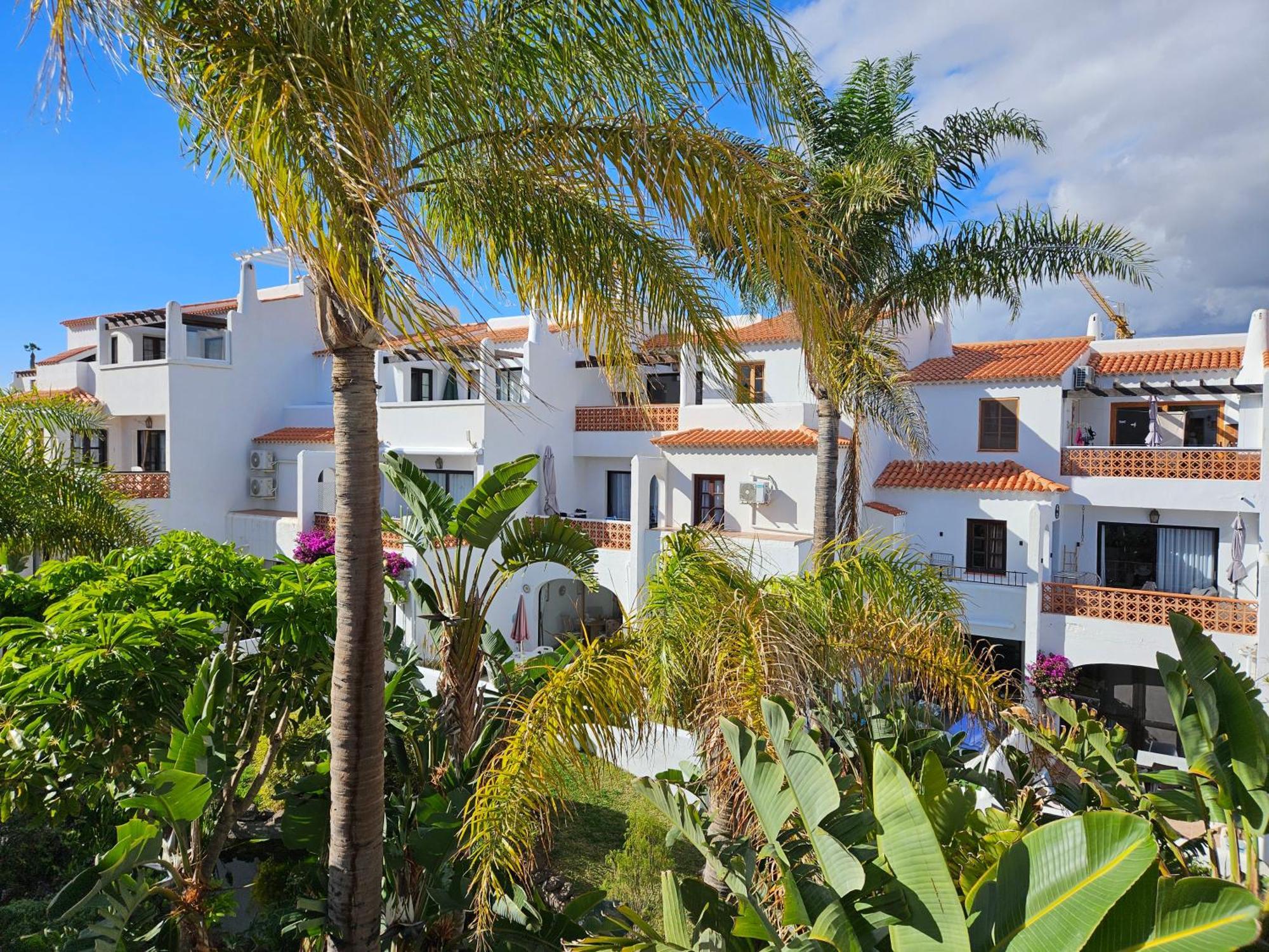 サンミゲル・デ・アボナSunny Oasis Amarilla Golfアパートメント エクステリア 写真